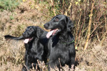 Moeder en dochter, eind oktober 2011